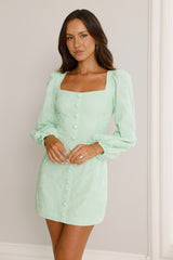 Picnic Perfection Long Sleeve Mini Dress Mint