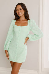 Picnic Perfection Long Sleeve Mini Dress Mint