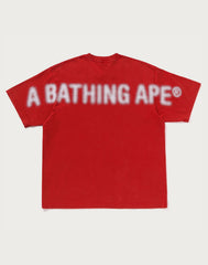PIGMENT PRINT APE HEAD RELAXED FIT TEE MENS