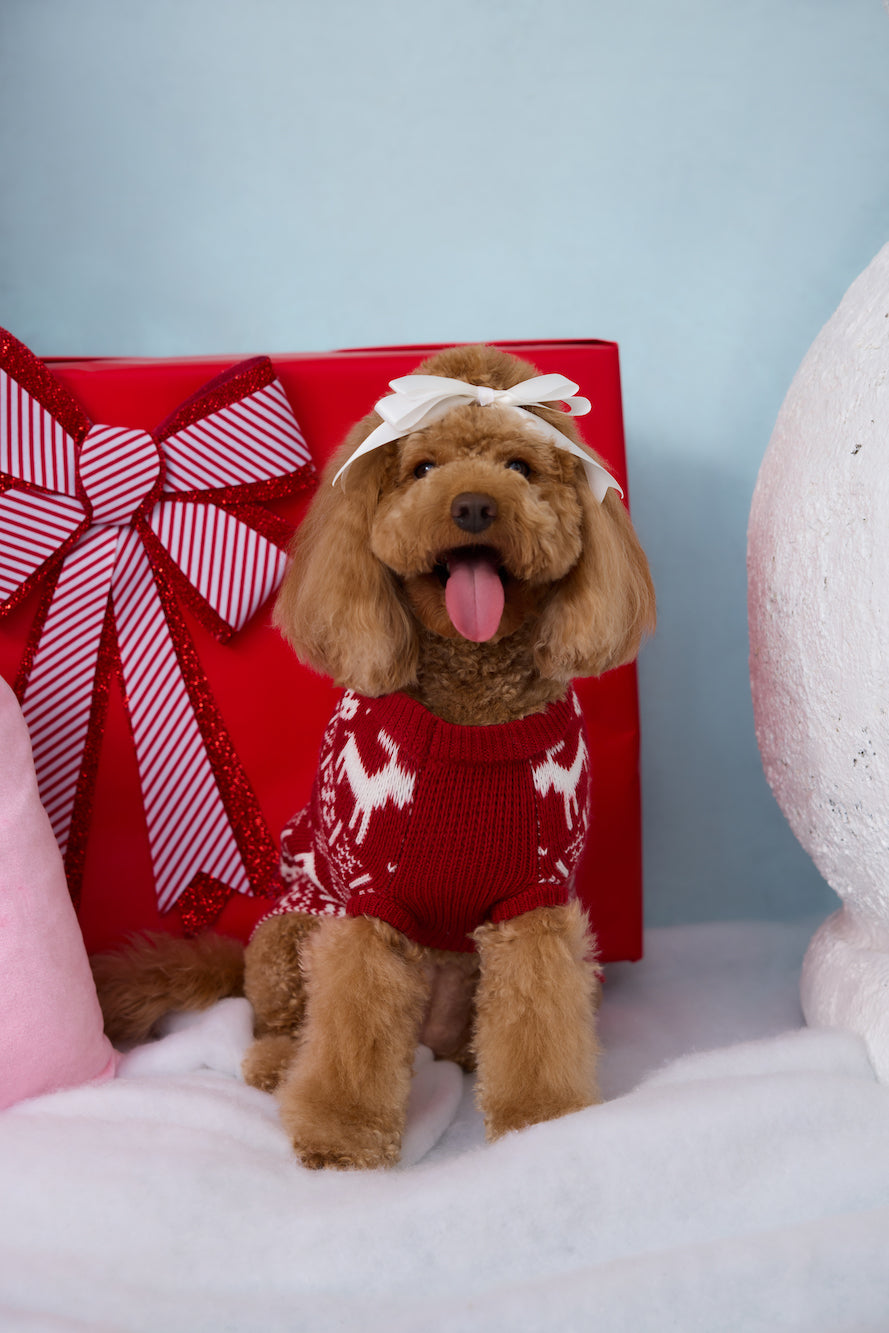 Reindeer Paws Dog Knit Sweater Burgundy