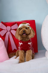 Reindeer Paws Dog Knit Sweater Burgundy