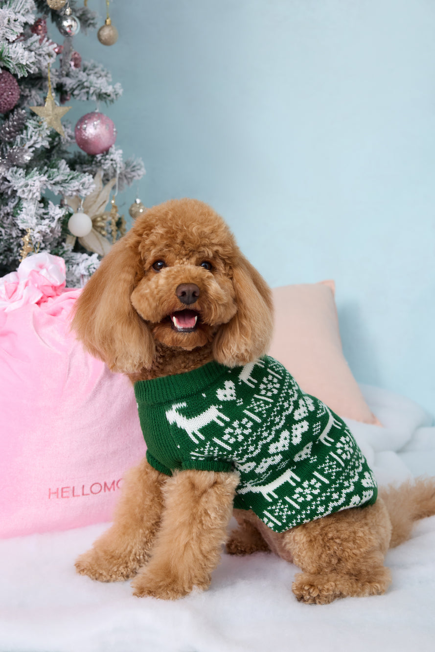 Reindeer Paws Dog Knit Sweater Green