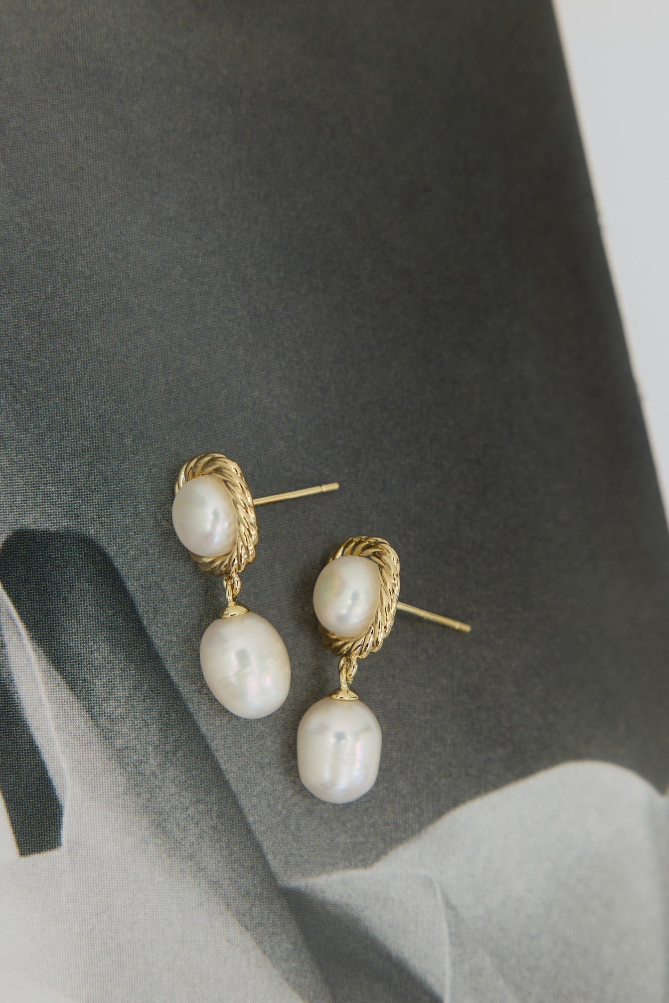 Money Honey Earrings Gold