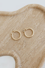 Polished Look Earrings Gold