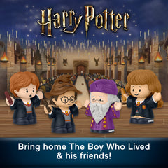 Fisher-Price Little People Collector Harry Potter And The Sorcerer's Stone