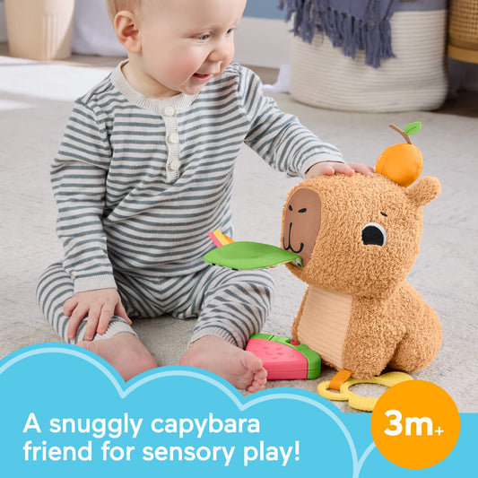 Fisher-Price Snuggly Snacky Capybara Plush Baby Sensory Toy With Teether & Rattle For Newborns
